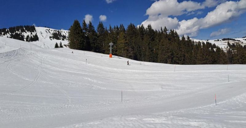 Parcelle ski in / ski out aux Portes du Soleil – photo 5