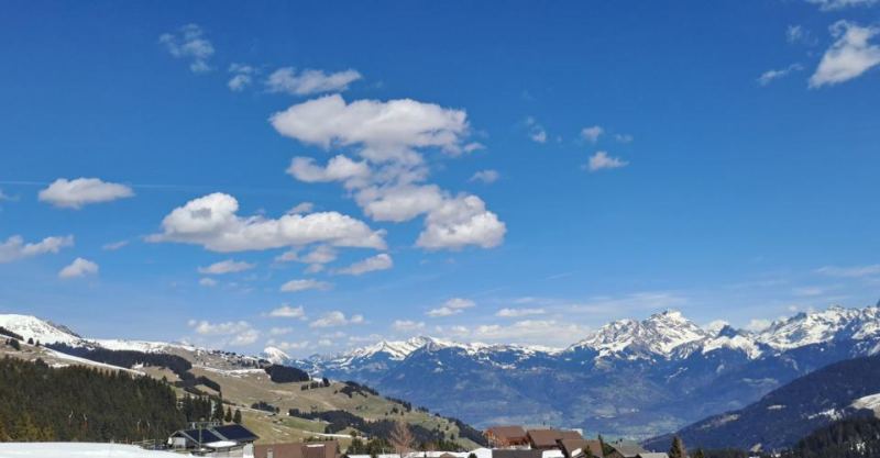 Parcelle ski in / ski out aux Portes du Soleil – photo 3