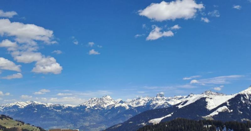 Parcelle ski in / ski out aux Portes du Soleil – photo 2